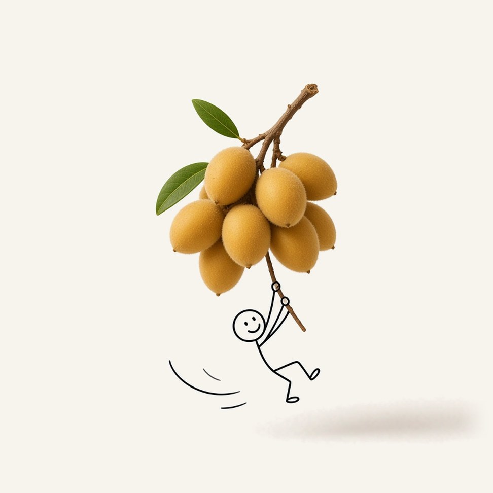 Wampee Juice — fruit illustration with a line-drawn figure